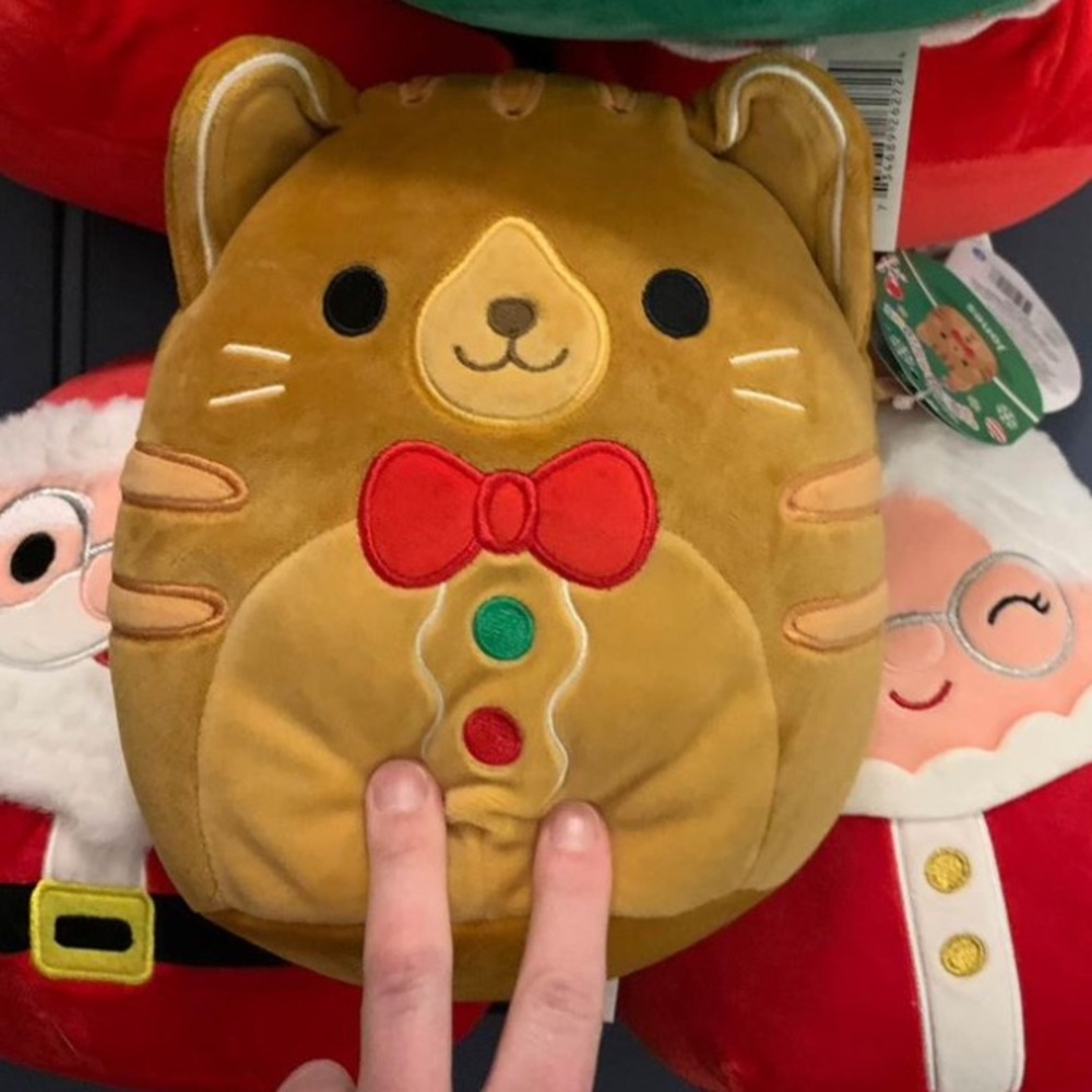 Jones Squishmallow Cat - stuffed animal